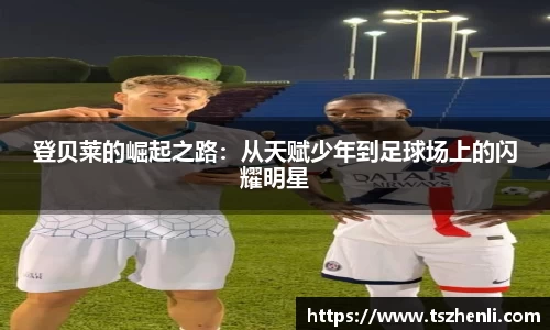 球速体育平台登录入口