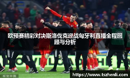 欧预赛精彩对决斯洛伐克迎战匈牙利直播全程回顾与分析